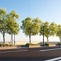 Tall Green Leafy Trees Lined Along Urban Street With Street Lamps And Sidewalk