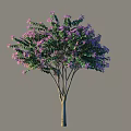 Lush Purple Flowering Arbor with Green Leaves and Brown Trunk
