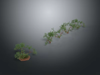 Small Plant And Row Of Five Plants With Curved Branches Green Leaves On Gray Background 3d model