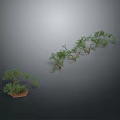Small Plant And Row Of Five Plants With Curved Branches Green Leaves On Gray Background