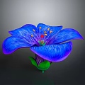 Bonsai Plant with Blue Flower Purple Petals Yellow Stamens and Green Stem Leaves