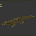 Shiny Red Crocodile Model with Yellow Eyes and Reflection on Gray Background Surface 3d model
