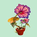 Purple Petunia Plant with Pink Centers Green Leaves in Brown Pot on Light Green Background