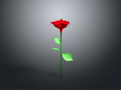 Single Red Rose Plant with Green Stem and Leaves on Gray Background 3d model