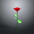 Single Red Rose Plant with Green Stem and Leaves on Gray Background