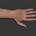 Detailed Human Hand with Fine Hair and Natural Skin Texture Closeup View