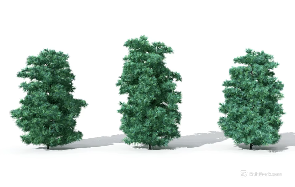 Three Green Trees With Lush Foliage And Different Shapes Isolated On White 3d model 
