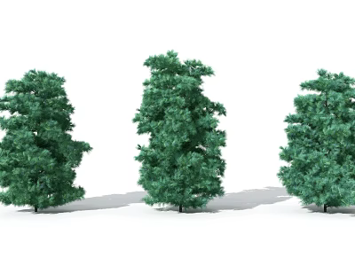 Three Green Trees With Lush Foliage And Different Shapes Isolated On White 3d model