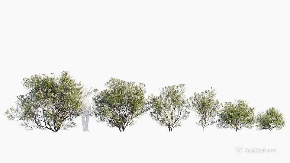 Various Arbor Trees With Lush Green Foliage In Natural Landscape Scene 3d model 