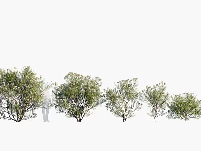 Various Arbor Trees With Lush Green Foliage In Natural Landscape Scene 3d model
