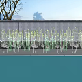 Outdoor Lights with White Flowers and Green Stems by Pool with Clear Reflection