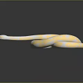 Striking Yellow and White Snake with Red Eyes Coiled on Black Background