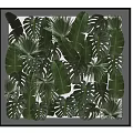 Indoor Green Plant Wall With Monstera Banana And Palm Leaves For Home Decoration