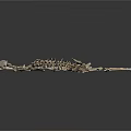 Animal Skeleton Scattered on White Background with Detailed Bone Structure