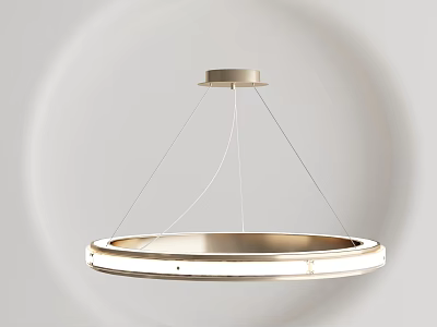 Modern Circular Chandelier with Metal Frame and LED Light Hanging in Light Background 3d model