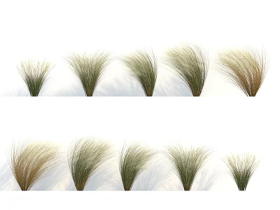 Colorful Fresh Flowers And Green Plants With Various Species For Indoor Decoration 3d model