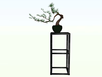 Bonsai Pine Plant With Curved Trunk Green Foliage On Black Wooden Stand 3d model