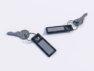 Modern Key Old Key 3d model