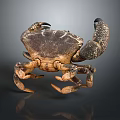 Realistic Aquatic Animal Crab With Dark Brown Shell Spotted Claws And Detailed Texture