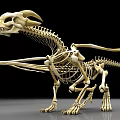 Detailed Dinosaur Skeleton Model With Anatomical Structure And Bone Details 3d model