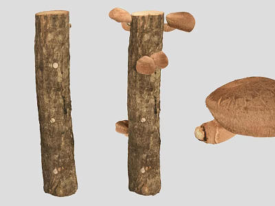 Natural Wooden Tree Trunks With Growing Brown Mushrooms And Fungal Details 3d model