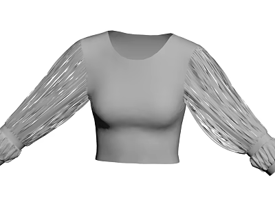 Stylish Gray Cropped Top With Fringed Long Sleeves And Fitted Design 3d model