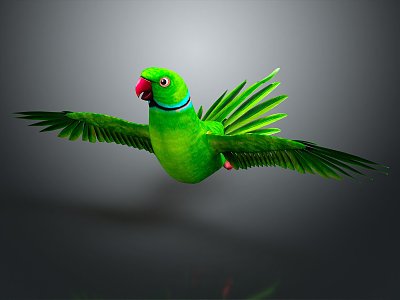 Modern Parrot Xuan Feng Parrot Budgie Shang Parrot 3d model