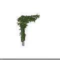 Lush Green Vines Covering Decorative Wall Structure With Fresh Leaves And Growth