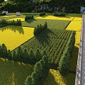 Aerial Planning of Organized Farmland Fields With Trees and Railway Tracks Near Green Hills