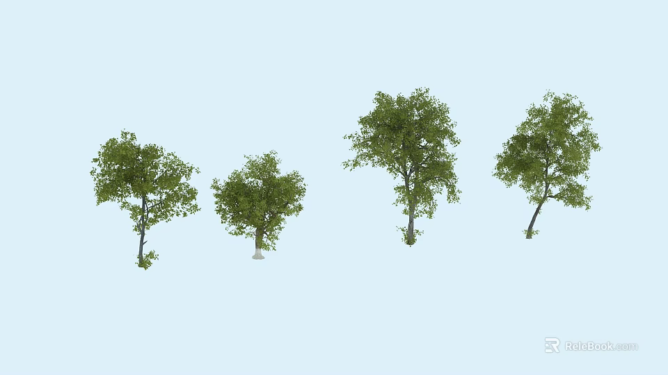Multiple Arbor Trees With Green Foliage And Various Natural Sizes 3d model