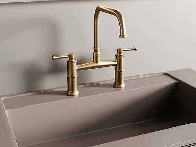 Modern Brass Faucet With Dual Handles On Gray Kitchen Sink 3d model