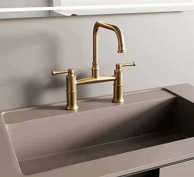 Modern Brass Faucet With Dual Handles On Gray Kitchen Sink 3d model