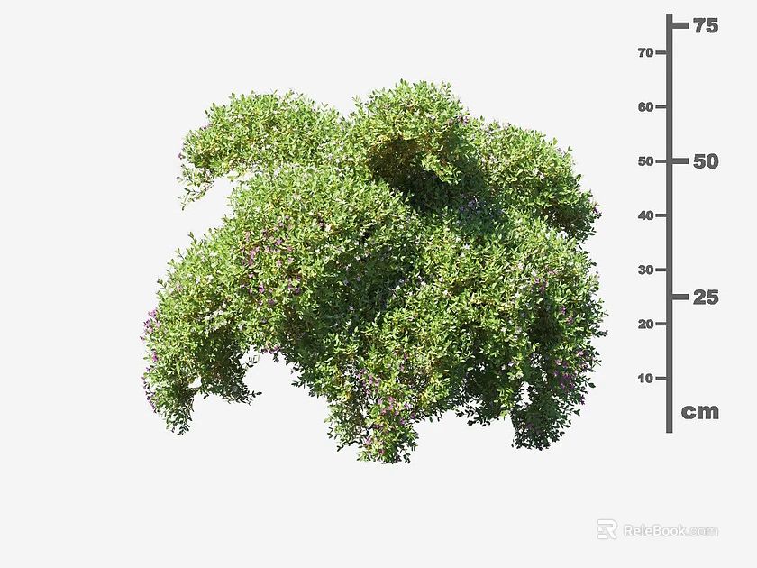 Lush Green Arbor With 75 cm Height Measurement Dense Foliage And Natural Growth 3d model 