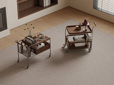 Wooden And Metal Frame Mobile Trolleys With Plants Radio And Books Indoors 3d model