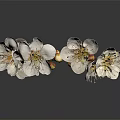 Blooming Dainty White Flowers and Vibrant Orange Buds on Graceful Green Flower Branch
