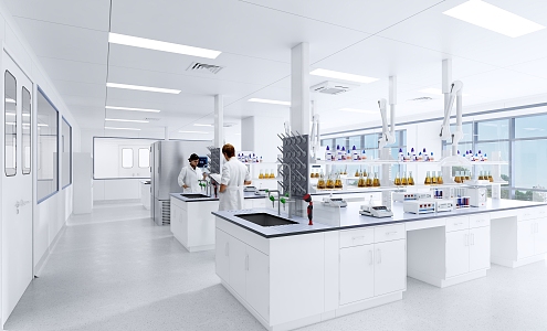 Laboratory Preparation Room Color Steel Plate Laboratory Enterprise Laboratory Physical and Chemical Laboratory 3d model