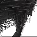 Realistic Black Porcupine With Long Sharp Quills Standing In Natural Pose
