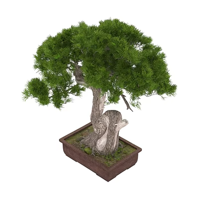 Unique Bonsai Tree With Green Foliage And Textured Trunk In Square Brown Pot 3d model