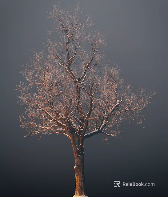 Leafless Tree With Slender Snowy Branches Standing Against Dark Winter Sky 3d model 