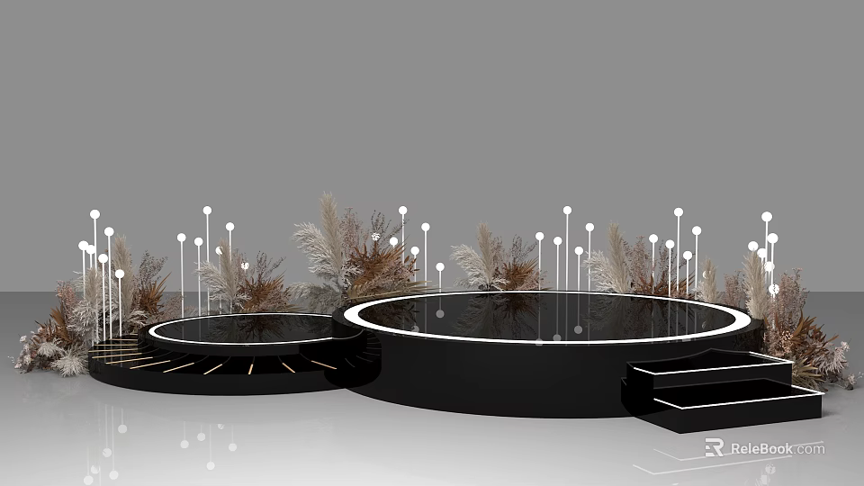 Black Circular Stage Design With White Lighting And Dried Plant Decorations 3d model 