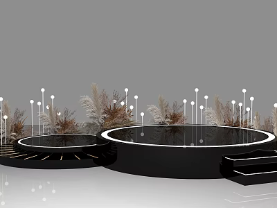 Black Circular Stage Design With White Lighting And Dried Plant Decorations 3d model
