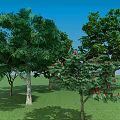 Lush Green Arbor Trees With Red Fruits In Grassland Under Blue Sky