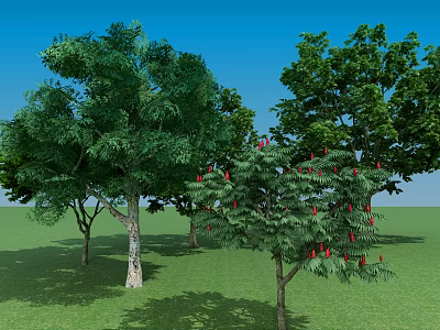 Lush Green Arbor Trees With Red Fruits In Grassland Under Blue Sky 3d model