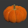 Fresh Orange Round Pumpkin Vegetable With Shiny Surface On Dark Background 3d model