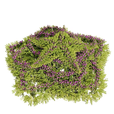 Lush Green Bush With Vibrant Purple Small Flowers In Full Bloom 3d model
