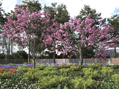 Beautiful Flowering Trees With Pink Blossoms In Garden Landscape With Green Plants 3d model