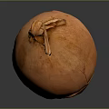 Fresh Orange Vegetable Onion Close Up View with Textured Skin on Dark Background