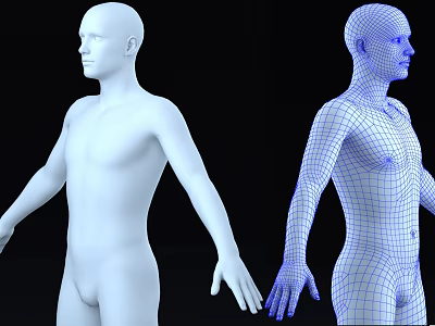 3D Human Man Model Featuring White Solid Figure And Blue Wireframe Design 3d model