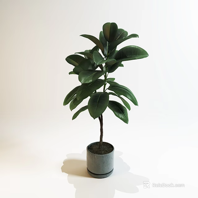 Green Leafy Potted Plant in Modern Gray Ceramic Pot for Home Decor 3d model 