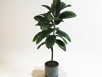 Green Leafy Potted Plant in Modern Gray Ceramic Pot for Home Decor 3d model